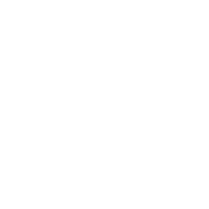 LOGO BRANCA SEM FUNDO 1024x1024 (1)